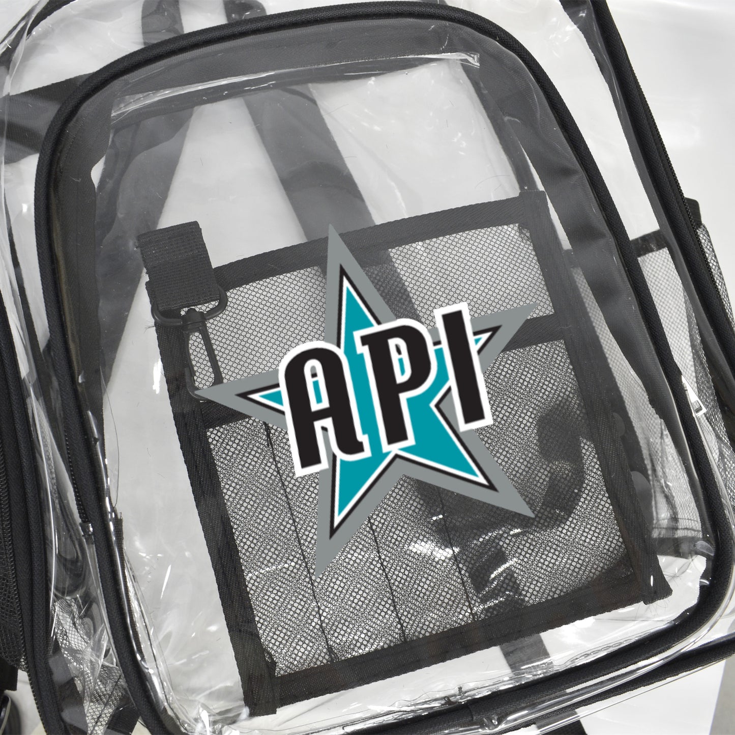 Transparent Backpack